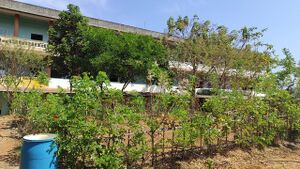 Dr.AGHSSK Jaivavaividya Udyanam.jpg