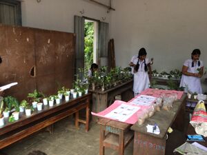 Sc 15 35052a (10).JPG