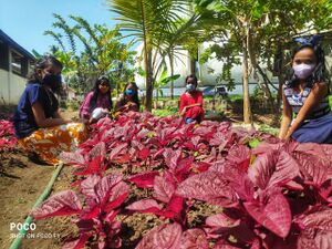 WhatsApp Image 2022-01-26 at 6.49.56 PM (1).jpg