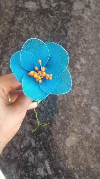 പ്രമാണം:13055 515.jpeg