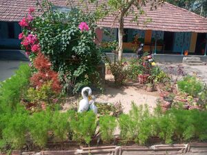 24209 new garden.jpg