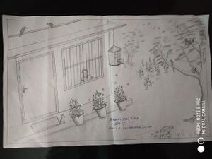 25248-Sourav Raj.jpg