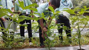 31262 agro activities.jpg