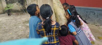 മരത്തിനൊര‍ു മ‍ുത്തം