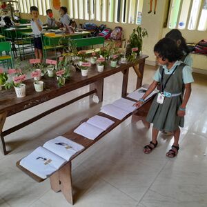 41223 cmslps clappana scienceday.jpg