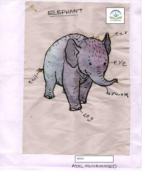 പ്രമാണം:48524-MLP-Kunju-Adil Muhammed.png