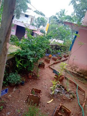 Gallery30.resized.jpg