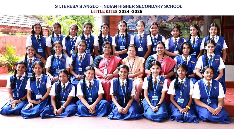 പ്രമാണം:Little kites2025 13006.JPG