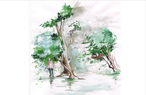 Screenshot from 2021-01-15 10-57-58.png