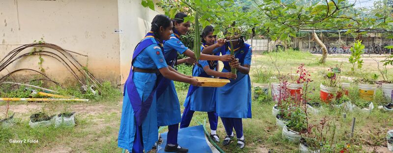 പ്രമാണം:Vegetable garden 35052 23 2.jpg