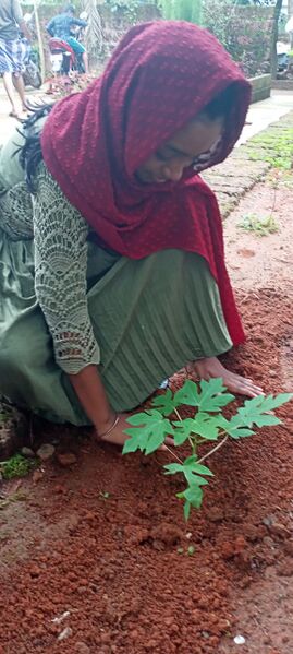 പ്രമാണം:ലോക പരിസ്ഥിതി ദിനം (2021)7.jpg