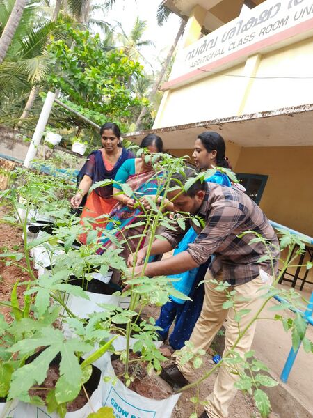 പ്രമാണം:11453 a5.jpg