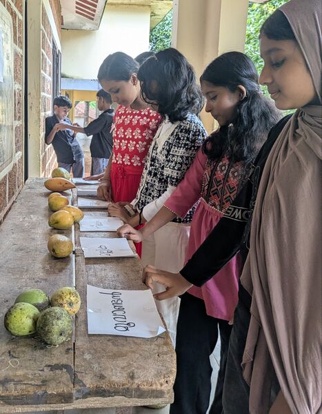 പ്രമാണം:19042ഃMango Fest.jpg