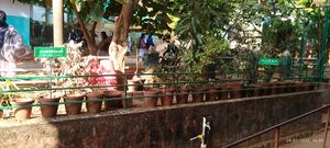 20003 Herbal garden.jpg