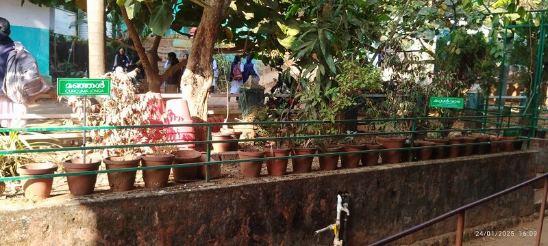 പ്രമാണം:20003 Herbal garden.jpg