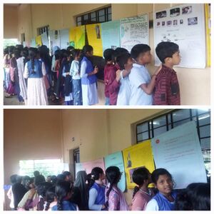 20062 moonDay Cart.jpg