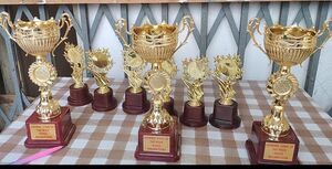 21068 discipline 5.jpeg