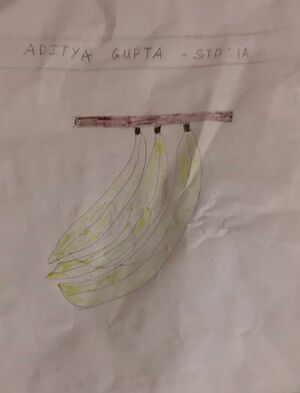 26068-EKM-KUNJ-ADITHYA GUPTA-27.jpg