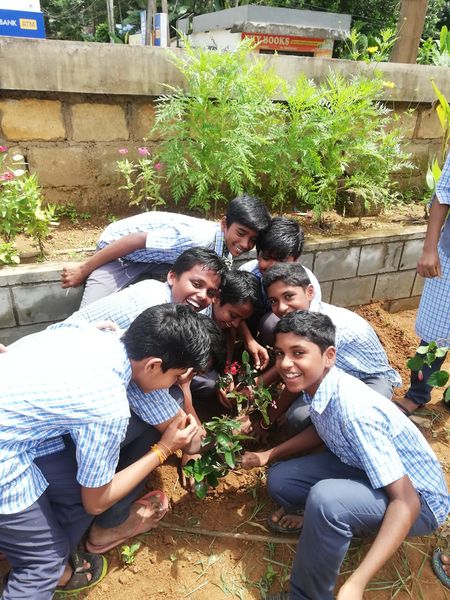 പ്രമാണം:36037 seed15.jpeg