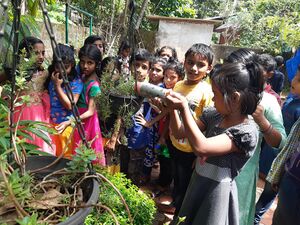 42021 8882314.resized.jpg