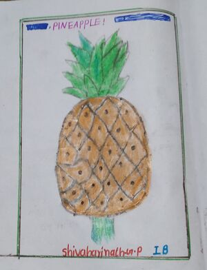 44372-TVM-KUNJ-SHIVAHARINATH G P 1B.jpg