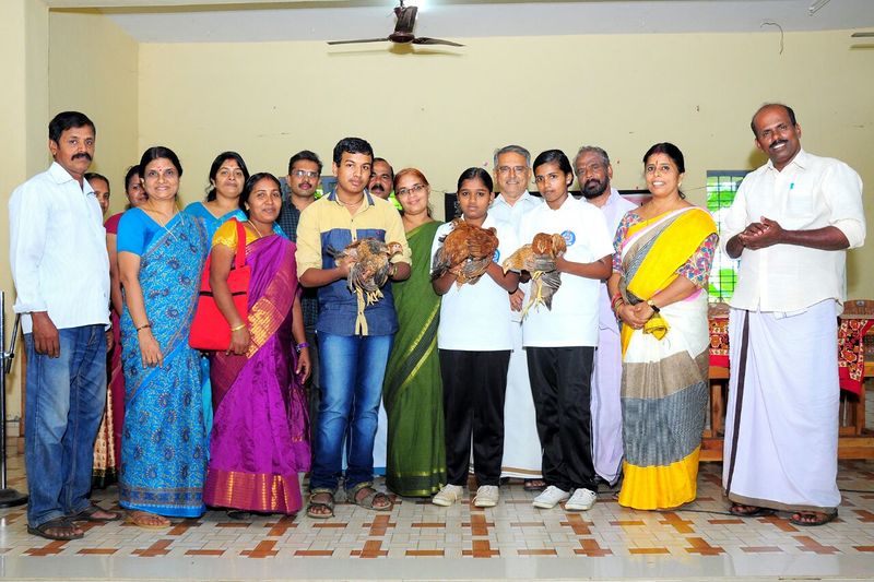 പ്രമാണം:Fowl distribution.jpg