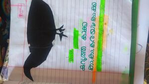 IMG 20240228 114018.jpg