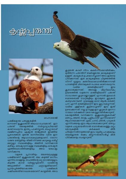 പ്രമാണം:Page27.jpg