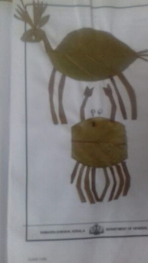 WhatsApp Image 2022-01-30 at 1.33.40 PM.jpeg