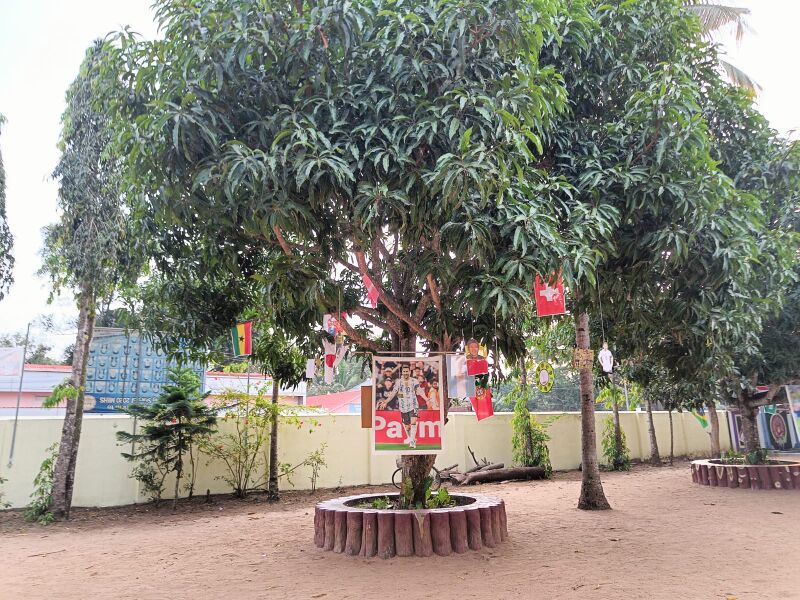 പ്രമാണം:Worldcuptree 35052 22 (1).jpg