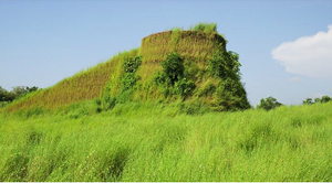 11020 KUMBALAFORT.png