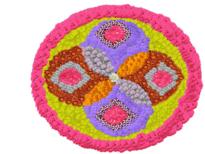 15068-digital pookalam-Adarsh.png