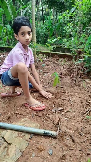 16256 paristhithi dinam2.jpg