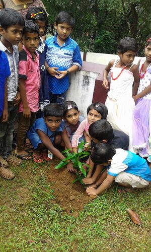 20180605 113226JPG - Copy.jpg