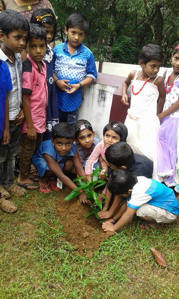 പ്രമാണം:20180605 113226JPG - Copy.jpg