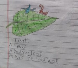 24073-TSR-KUNJ-MITHRAN M M.jpg