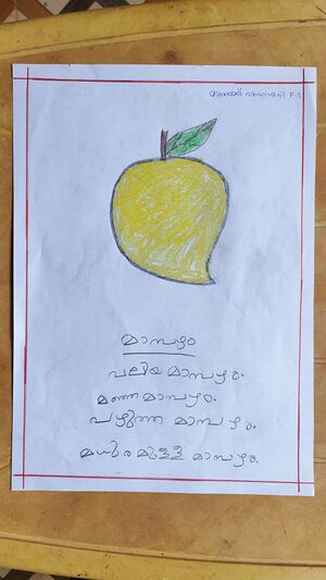 24430-TSR-KUNJ-MUHAMMAD SHAHAD ALI.jpg