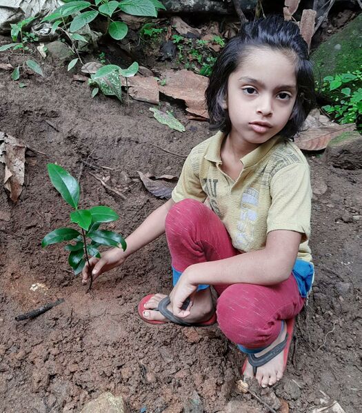 പ്രമാണം:29411 EnvironmentDay17.jpeg