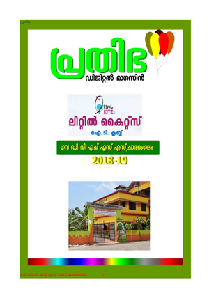 34013lk coverpage1.png