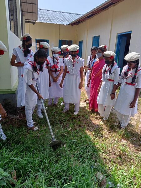 പ്രമാണം:36039 j.r.c 3.jpg