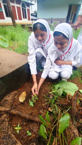 പ്രമാണം:48e22860-45e8-448a-8836-34b89d05abd5.jpg