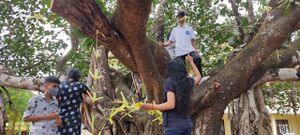 BS21 KGD 12009 2.jpg