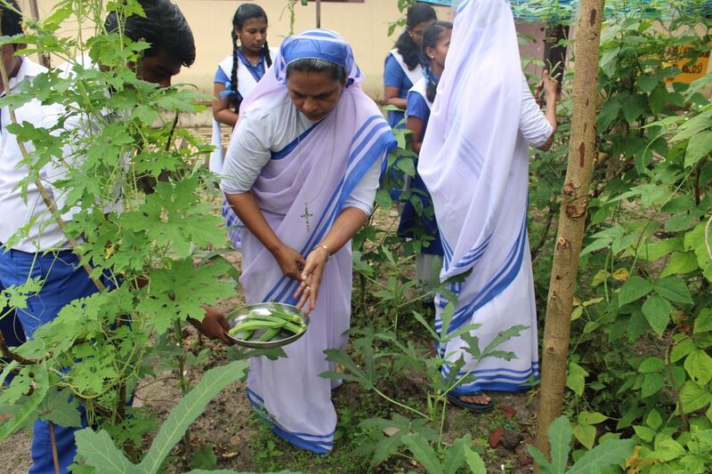 പ്രമാണം:Krushi 19 35052 2.jpg