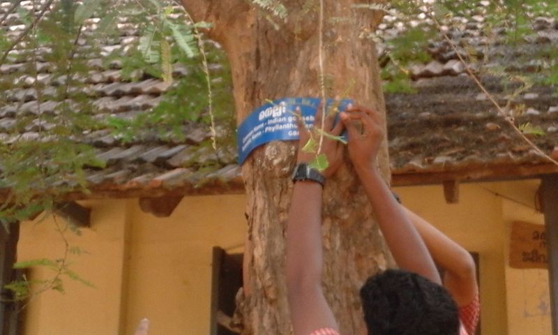 പ്രമാണം:Naming 11.jpg