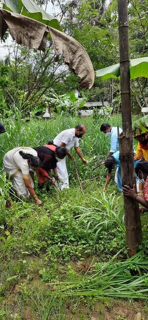 Photo 2022-01-30 22-48-53.jpg