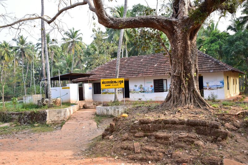 പ്രമാണം:16655 1.jpg