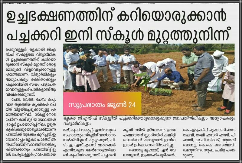 പ്രമാണം:19833 paddadikall1.jpg