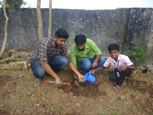 ജൈവപച്ചക്കറി കൃഷി