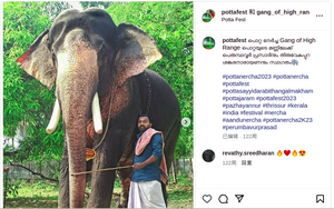 24643 Potta nercha.png