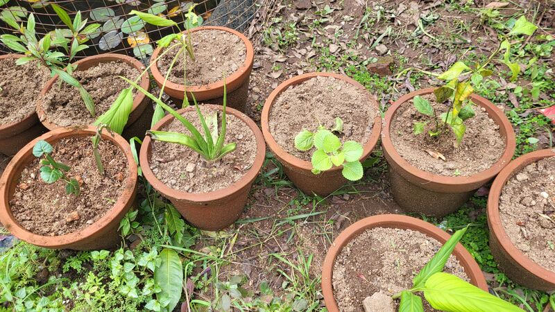 പ്രമാണം:29228 sd13.jpg